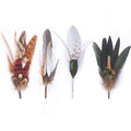 Hat Feathers